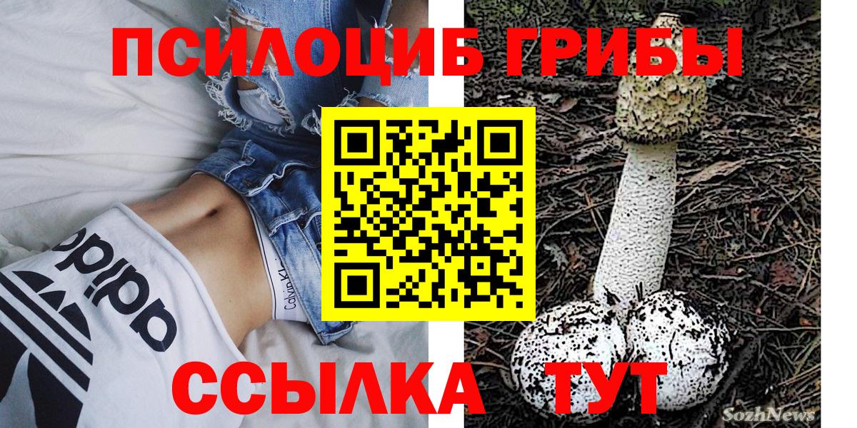 Галлюциногенные грибы Magic Shrooms Острогожск