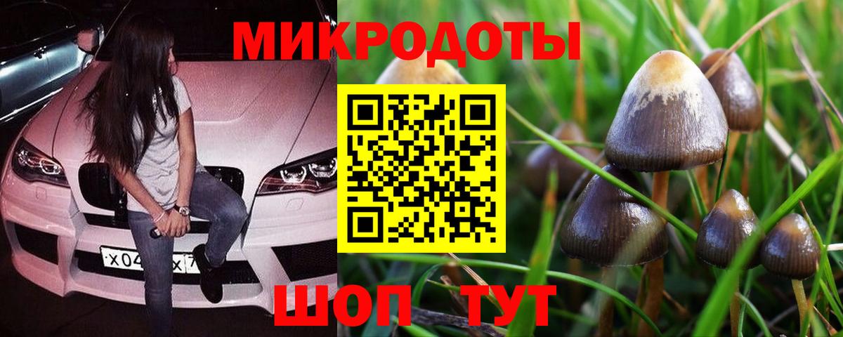 Галлюциногенные грибы MAGIC MUSHROOMS  Вход с VPN  Острогожск 